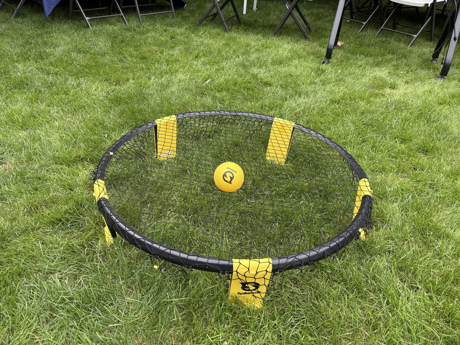 Bongo round Spikeball net on the grass